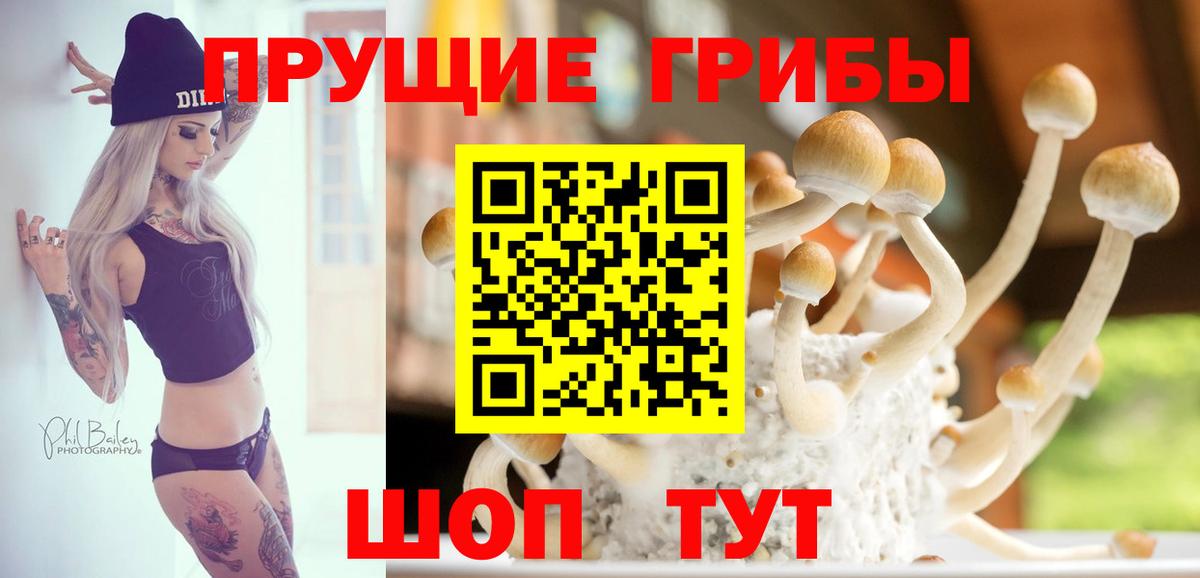 Лангепас  Псилоцибиновые грибы Psilocybine cubensis  купить   Вход с VPN 